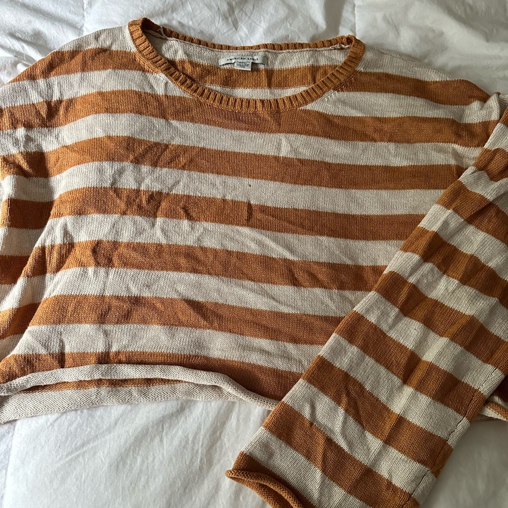 AE Crop Sweater